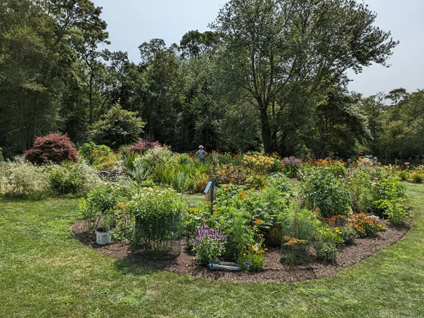 Seeds to Trees LLC work photo