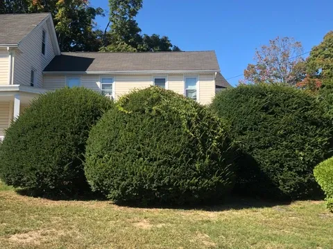 work photo from armandoandsonslandscaping.com