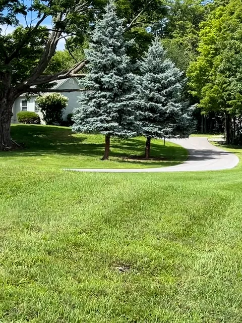 Bevins Property Maintenance work photo