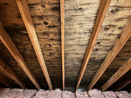 Richmond Restoration LLC work photo