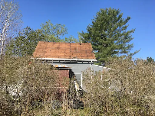 Review photo by Sue Mattheson