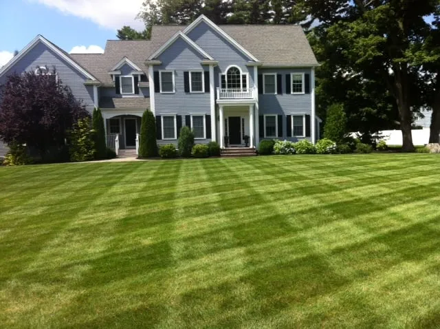 Premier Landscaping work photo
