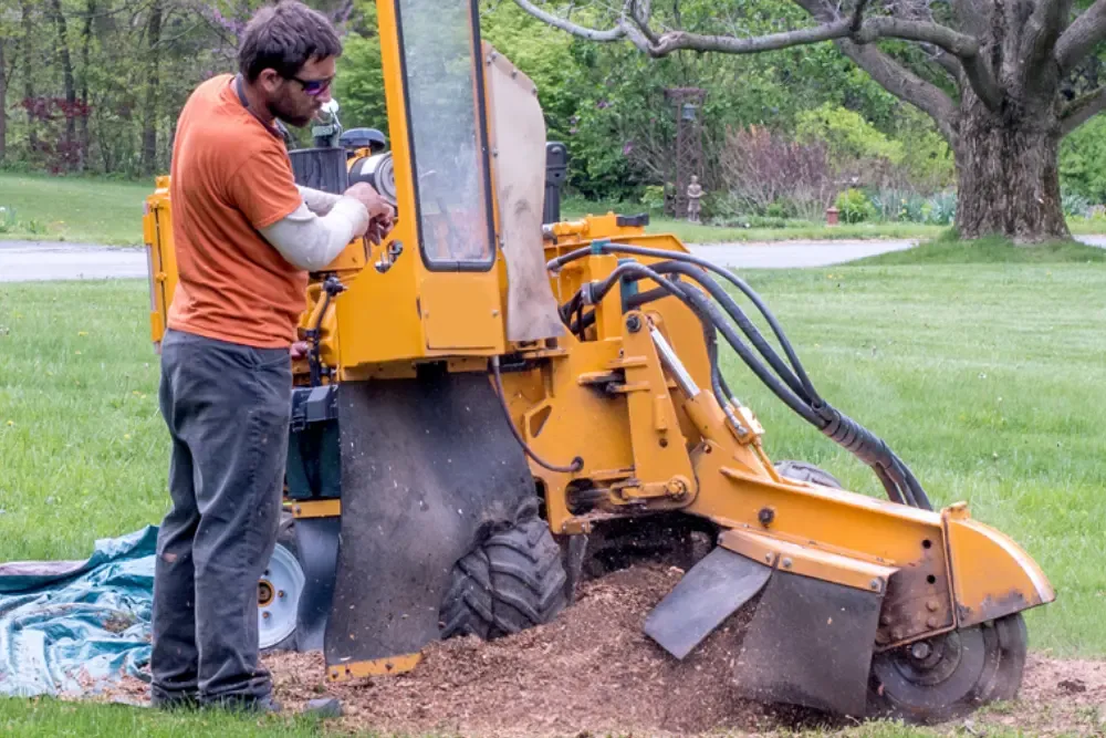 Stump Grinding Services