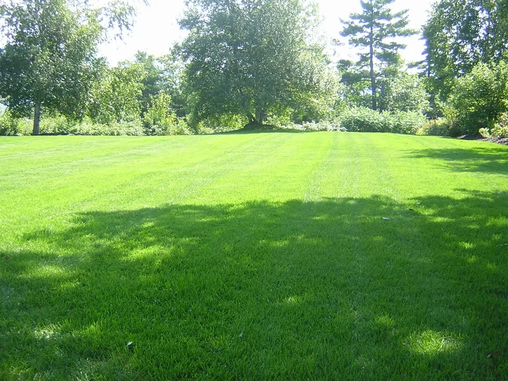 AZ-U-MAK-IT Lawn Care researched project photo