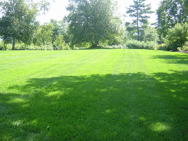 AZ-U-MAK-IT Lawn Care researched project photo