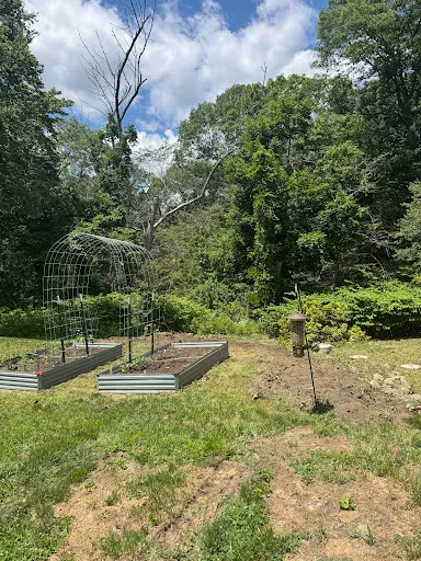 Review photo by Jordyn Mobley