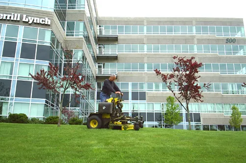 work photo from serviziolandscaping.com