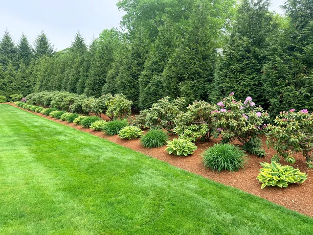 L&M Landscape work photo