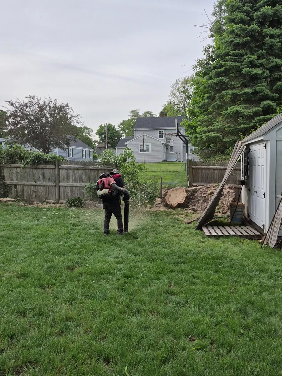 work photo from Google listing