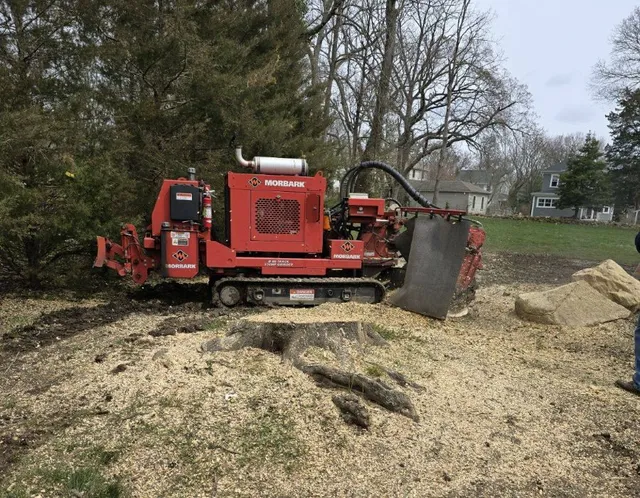 work photo from superiorstumpgrinding.com