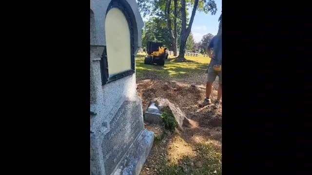 Hope Cemetery presented us with a truly unique stump challenge, and we're proud to have helped. This stump wrapped around a gravestone, making the task more complex than usual. Cody demonstrated exactly what he's known for: precision stump grinding and careful workmanship. We're all excited about the final results... Myra's stone can be replaced nicely and viewed again!
#mainelandstumpgrinding #stumps #stumpsgone #stumpgrinding #stump #stumpremoval #stumpgrindingmaine #stumpgrindingme #stumpgrindingnearme #stumpgrindingsouthernmaine #cemeterystump #stumpgrindingcemetery #challengingstump