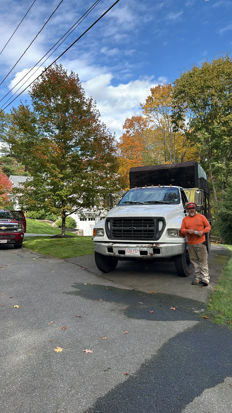 Tico Tree Service researched project photo