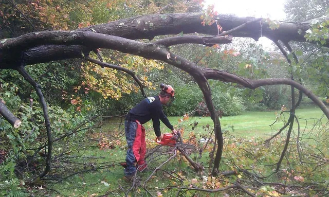 work photo from randalllandscaping.com