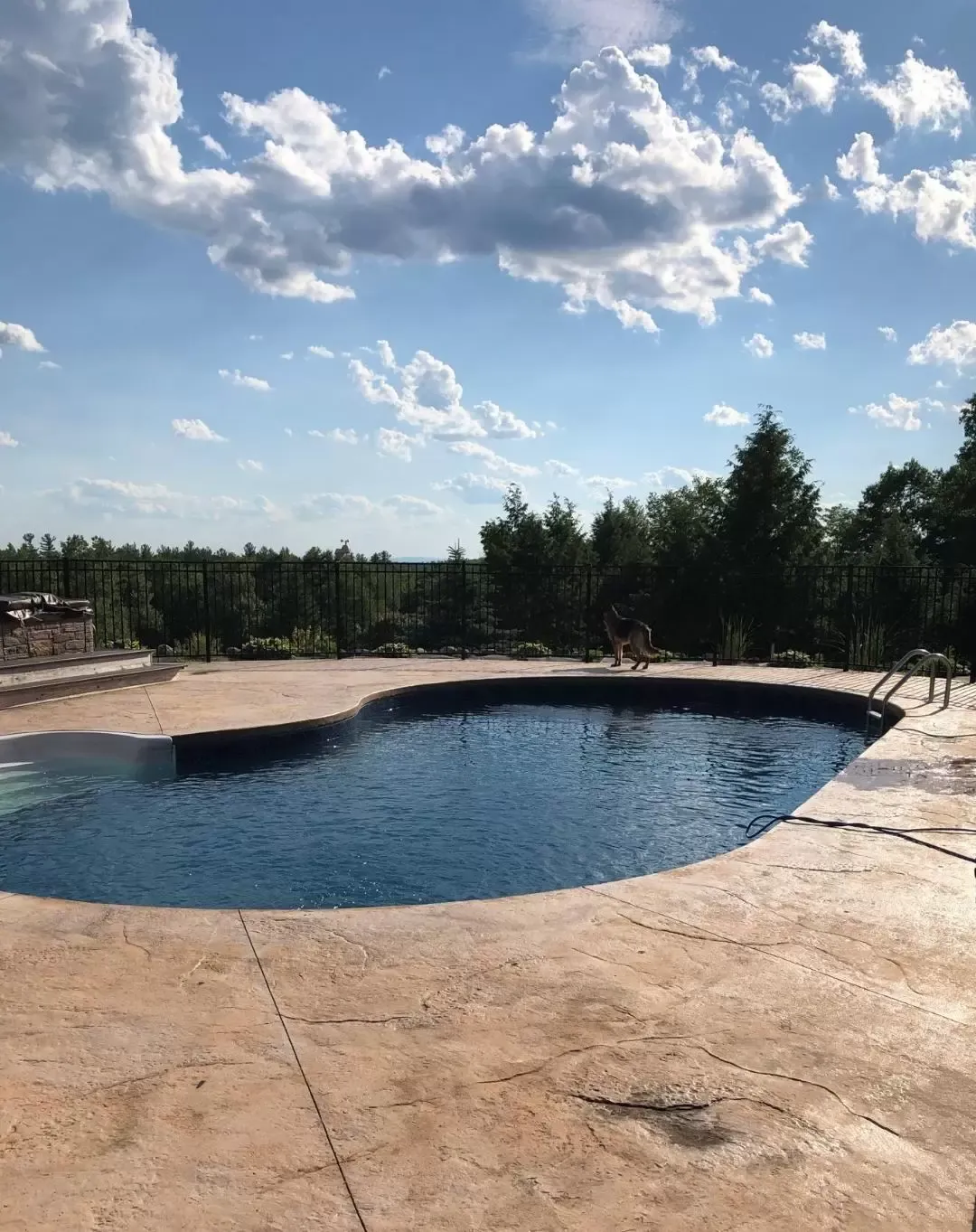 work photo from marklynnpools.com