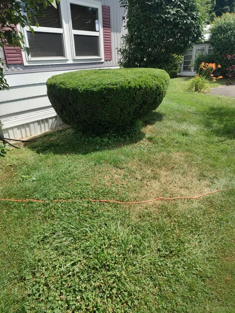 Rolling Hills Lawn Care work photo
