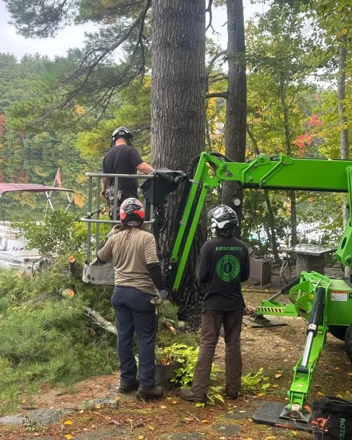 Three Timber Falls crew members working beside a compact lift