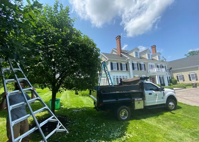 work photo from evergreenlawnandlandscape.com