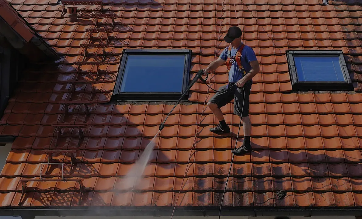 Roof Cleaning