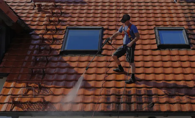 Roof Cleaning