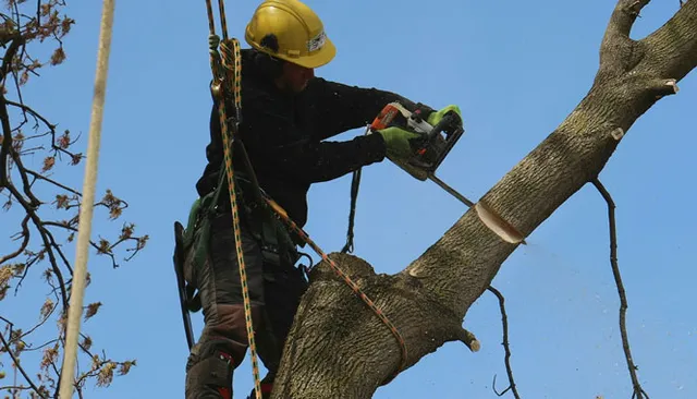 work photo from hvlandscapingservices.com