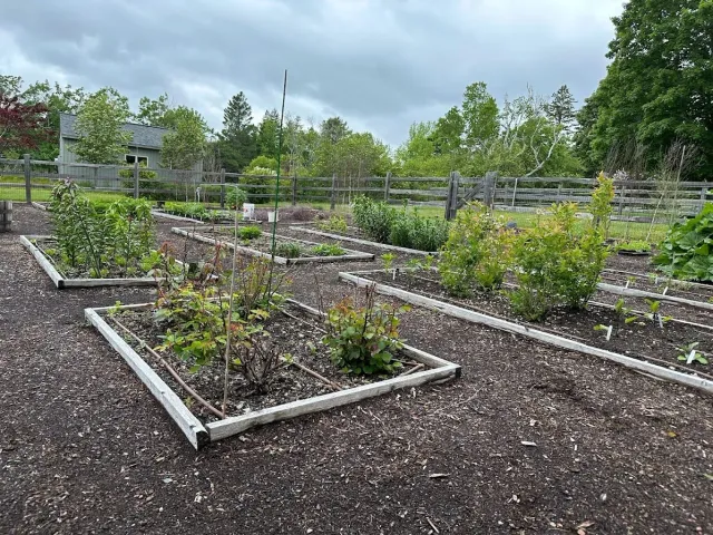 work photo from zggardens.com