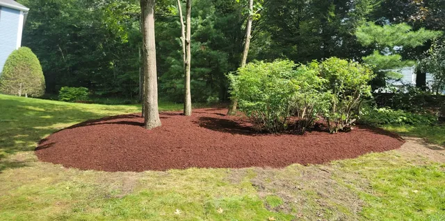 Infiniti Creative Landscape Design work photo
