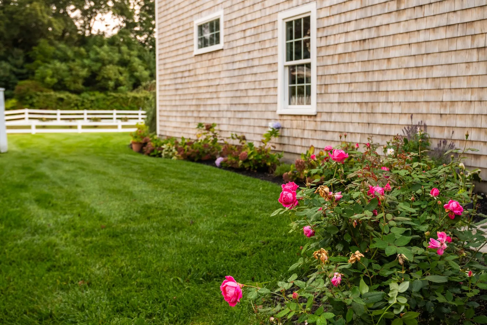 Pungitore Landscaping
