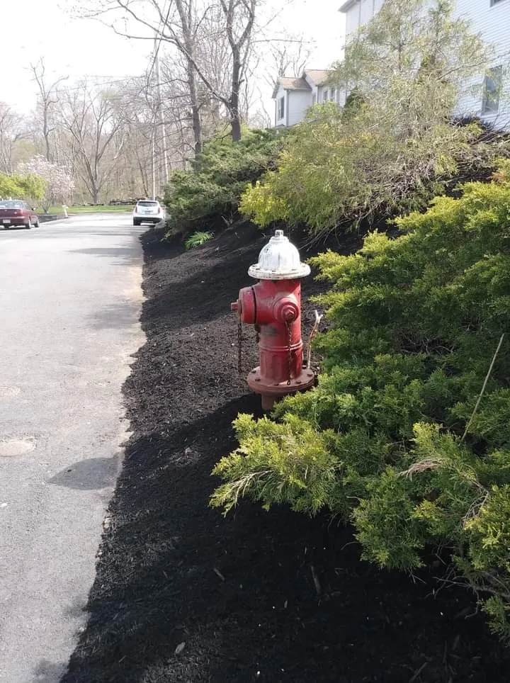 Rosales and Son's landscaping & Construction