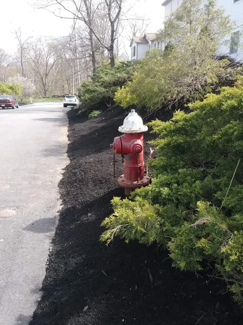 Rosales and Son's landscaping & Construction