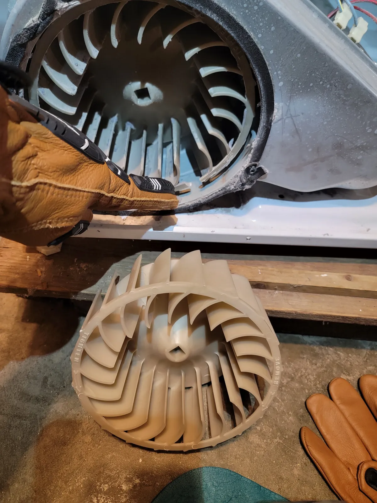 work photo from Google listing