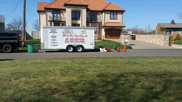 Mo & Sons Tree Care: Work van