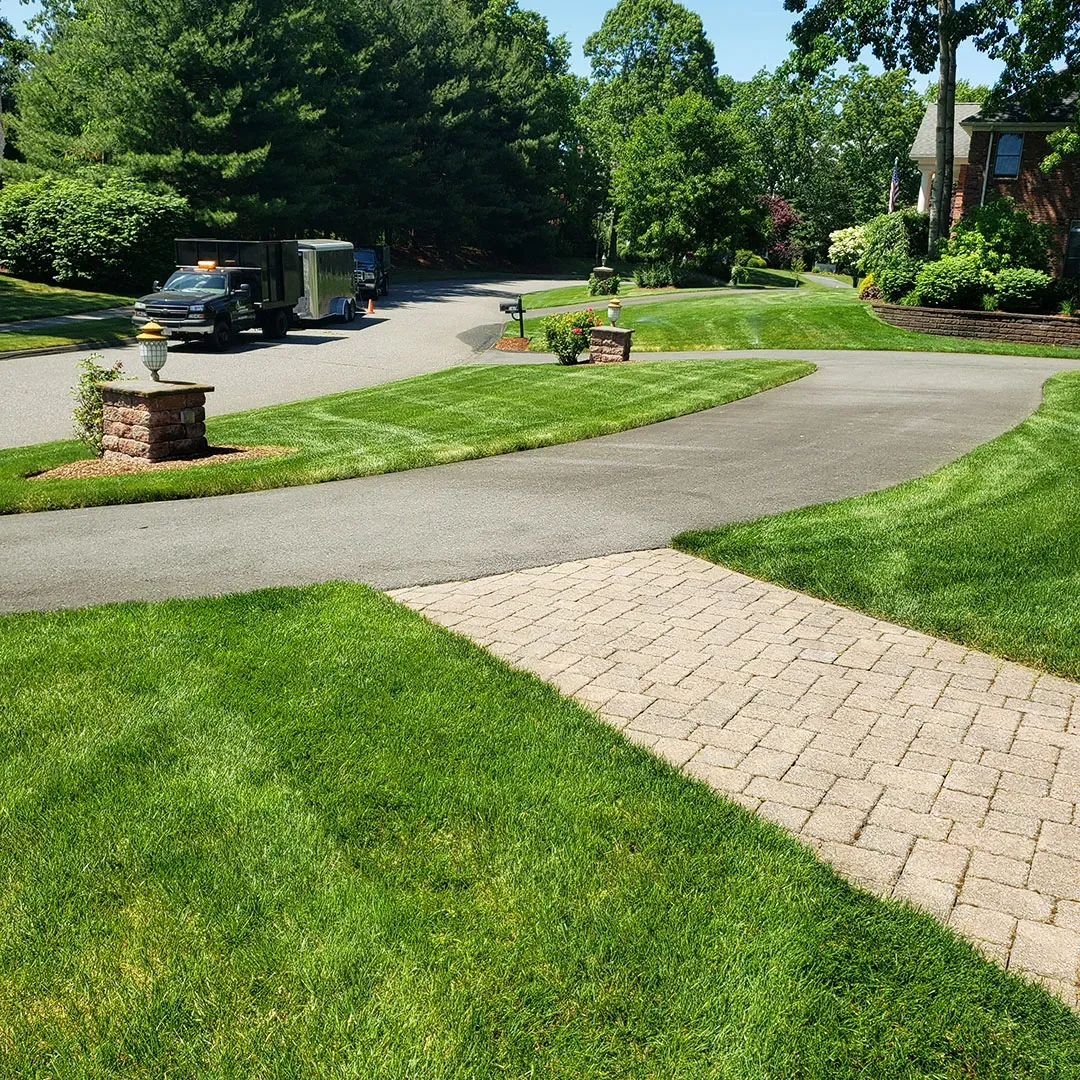 The best lawn mowing in Massachusetts