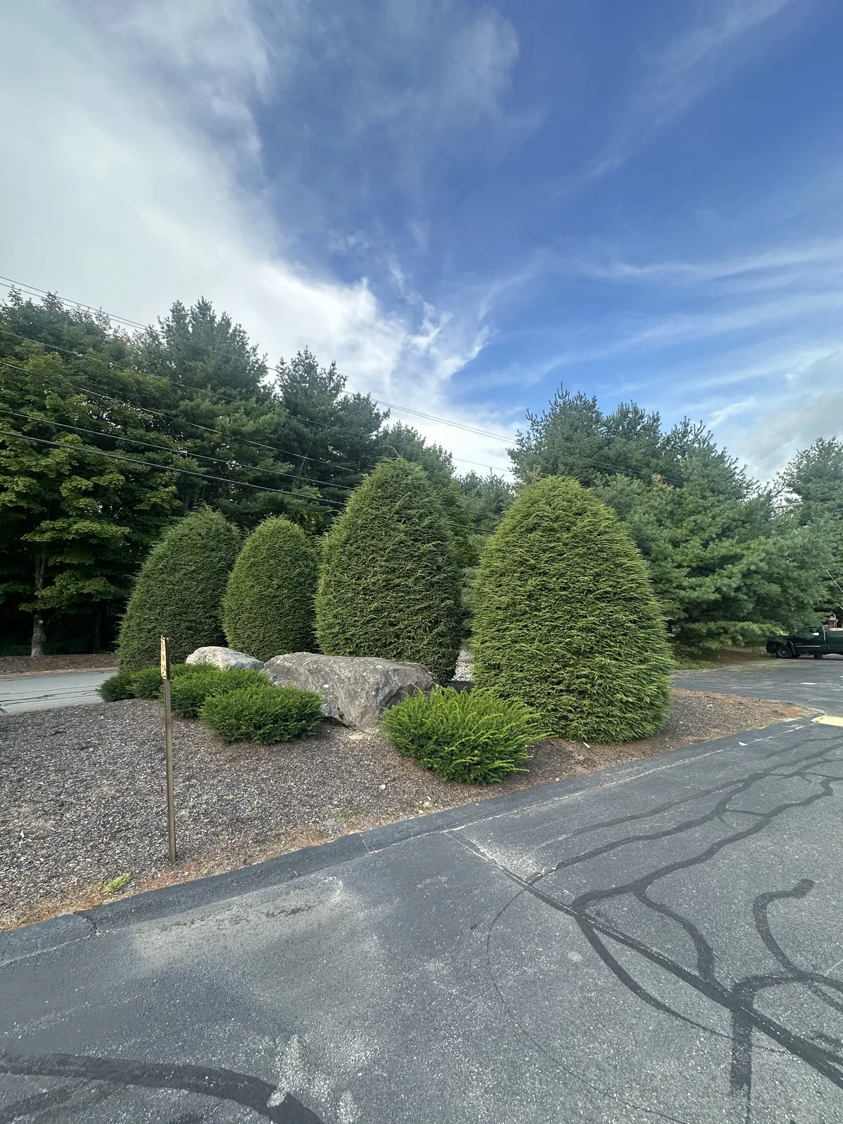 work photo from presidentlandscaping.com