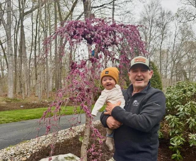 work photo from wilcoxtreeexperts.com