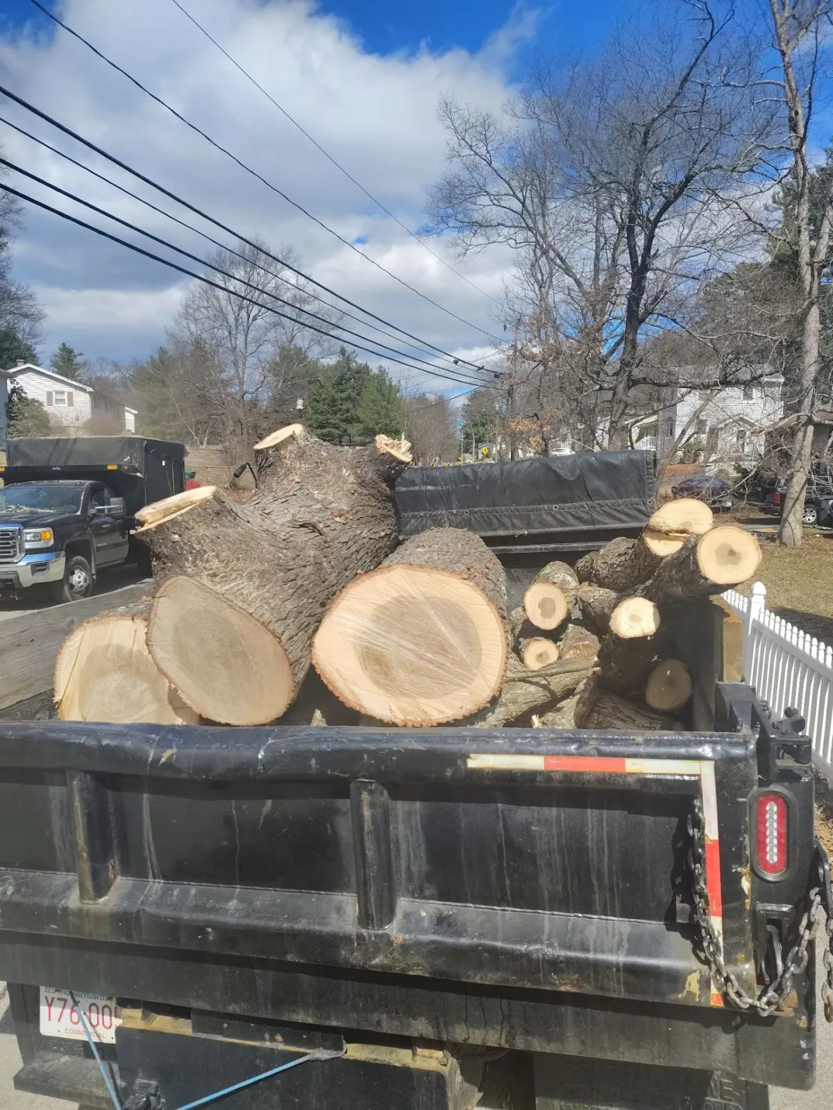 Black dump truck bed loaded with large cut logs on a roadside under power lines