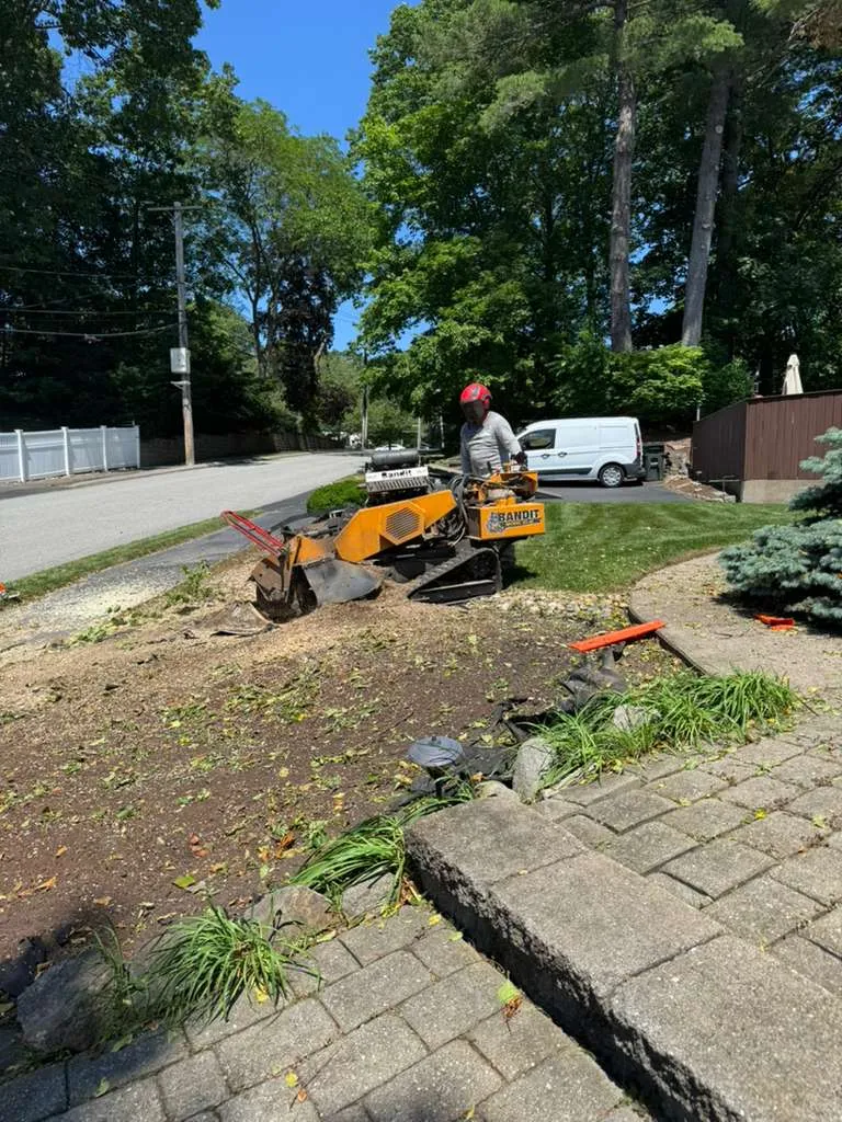 work photo from alhardscapeandlandscapecorp.com