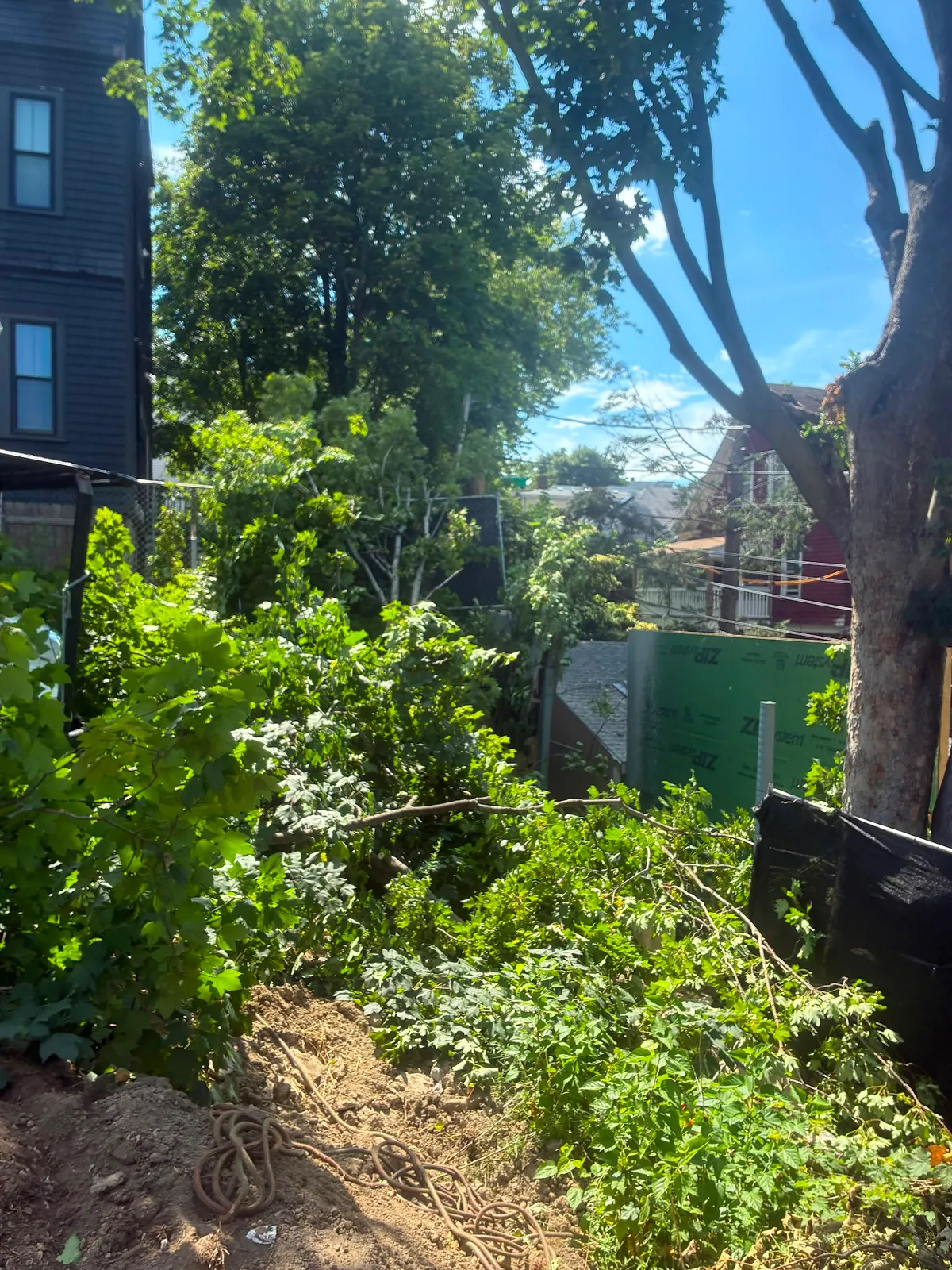 Adan Landscaping & Tree Services Inc