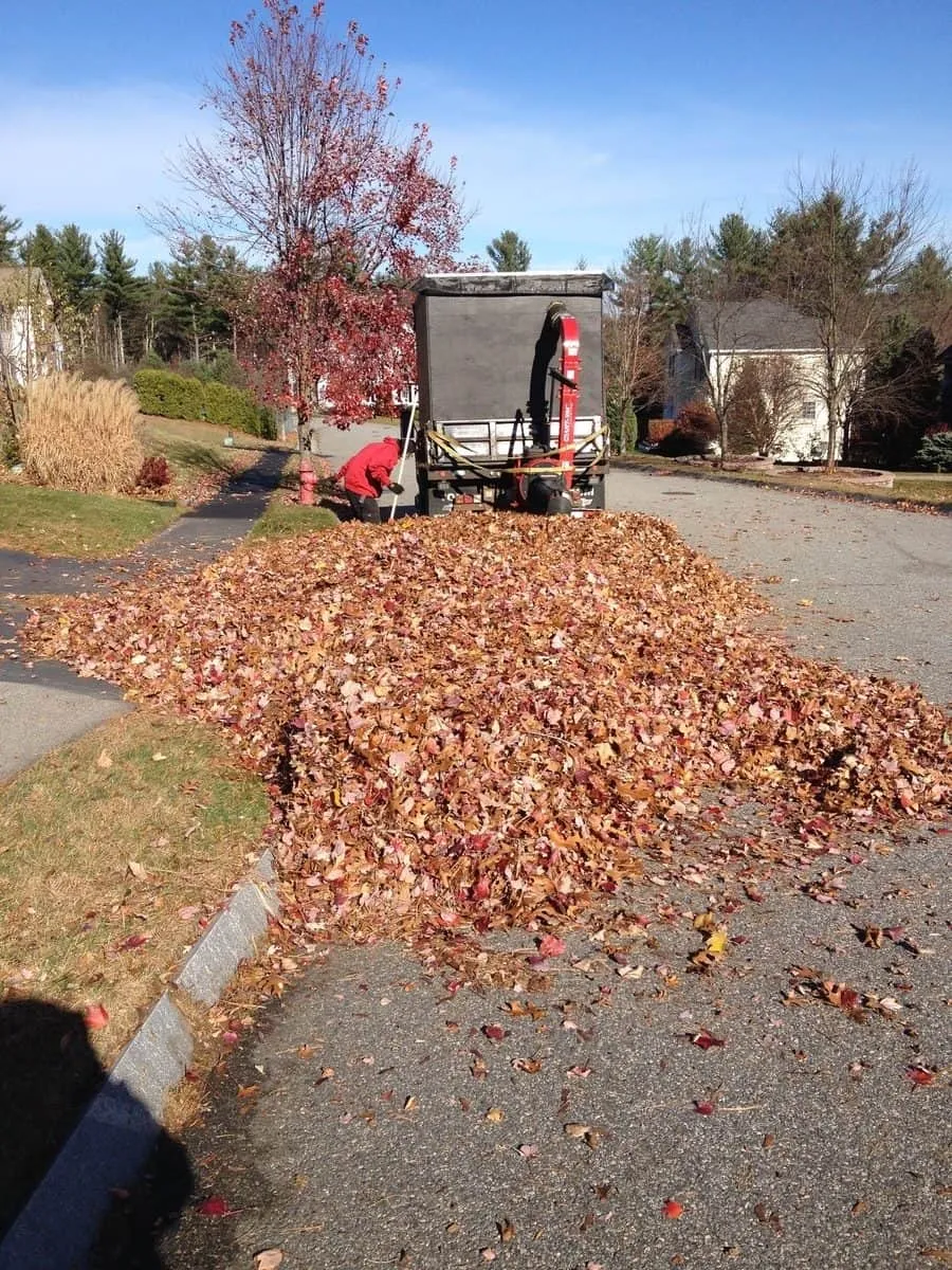 work photo from randalllandscaping.com