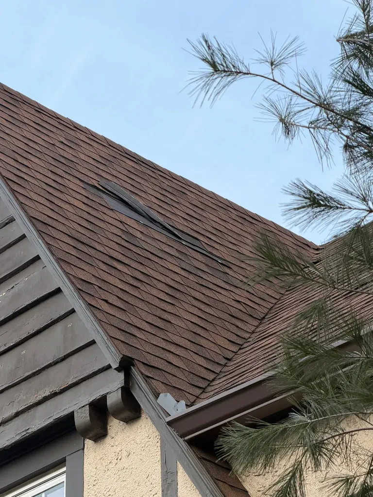 Brown composite roof with multiple peaks and palm fronds overhead against clear blue sky