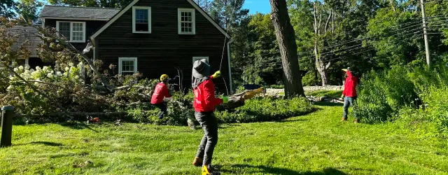 tree service workers on a open frontyard