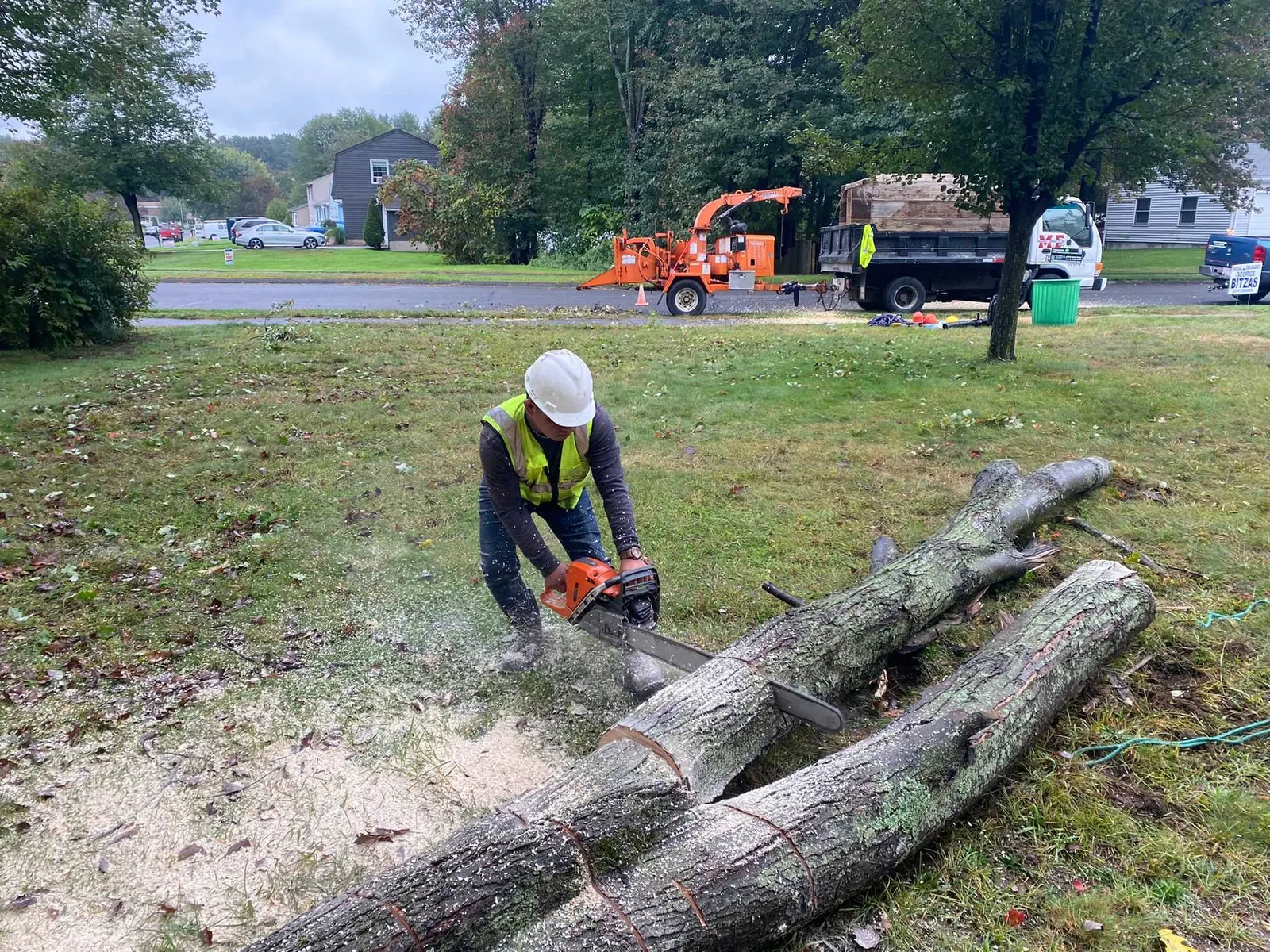work photo from visionlandsandtreeservicesllc.com