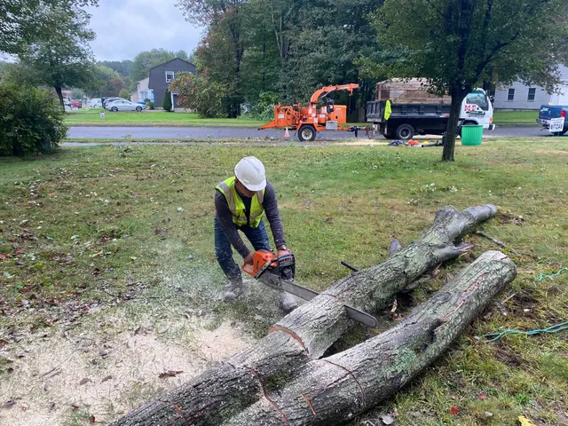work photo from visionlandsandtreeservicesllc.com
