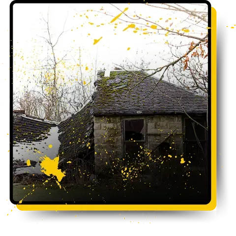 A demolished shed