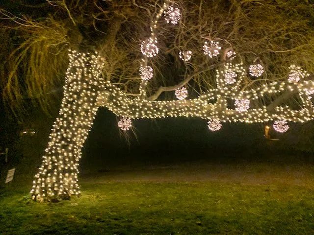 Holiday lighting project by Rainfall Irrigation