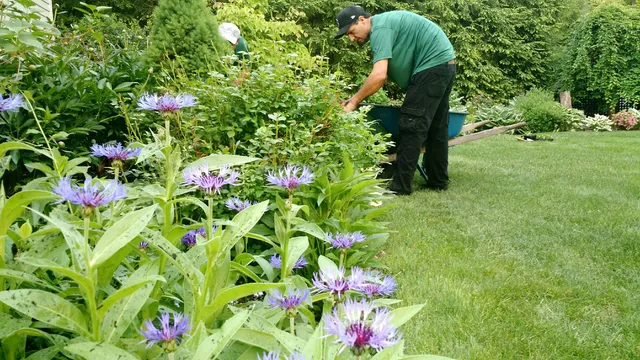 Garden City Landscape Maintenance Co., Inc. work photo