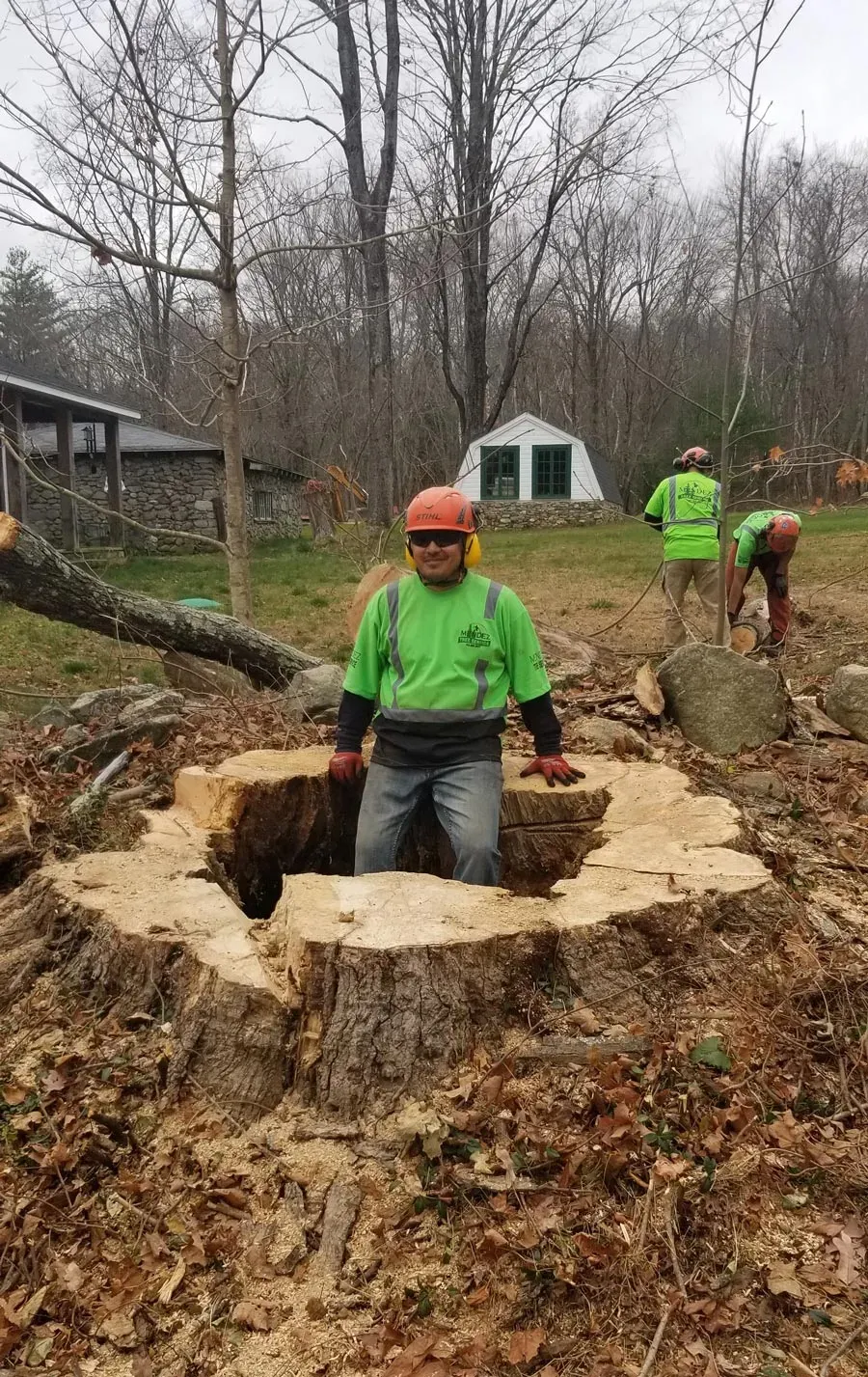 Man Inside The Large Stump — Springfield, MA — Mendez Tree Service LLC
