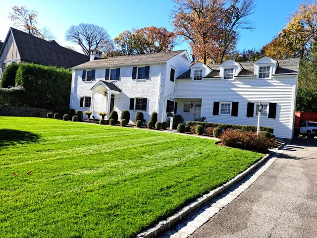 JCD Tree Service & Landscaping work photo