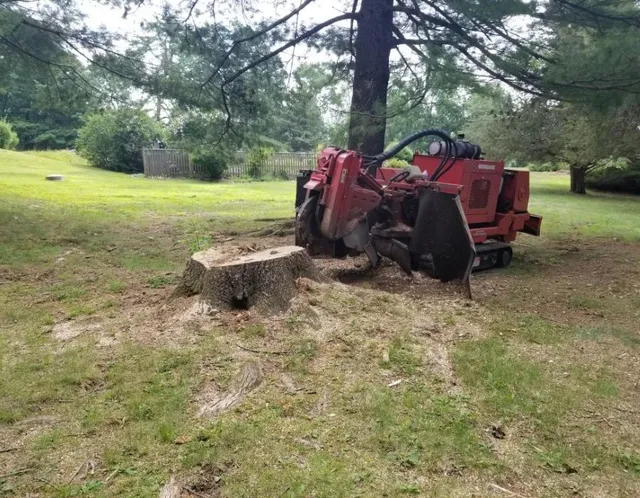 work photo from superiorstumpgrinding.com