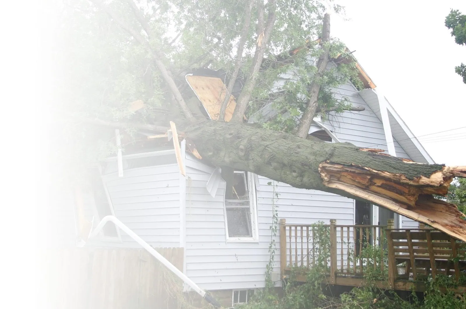work photo from disasterspecialists.com