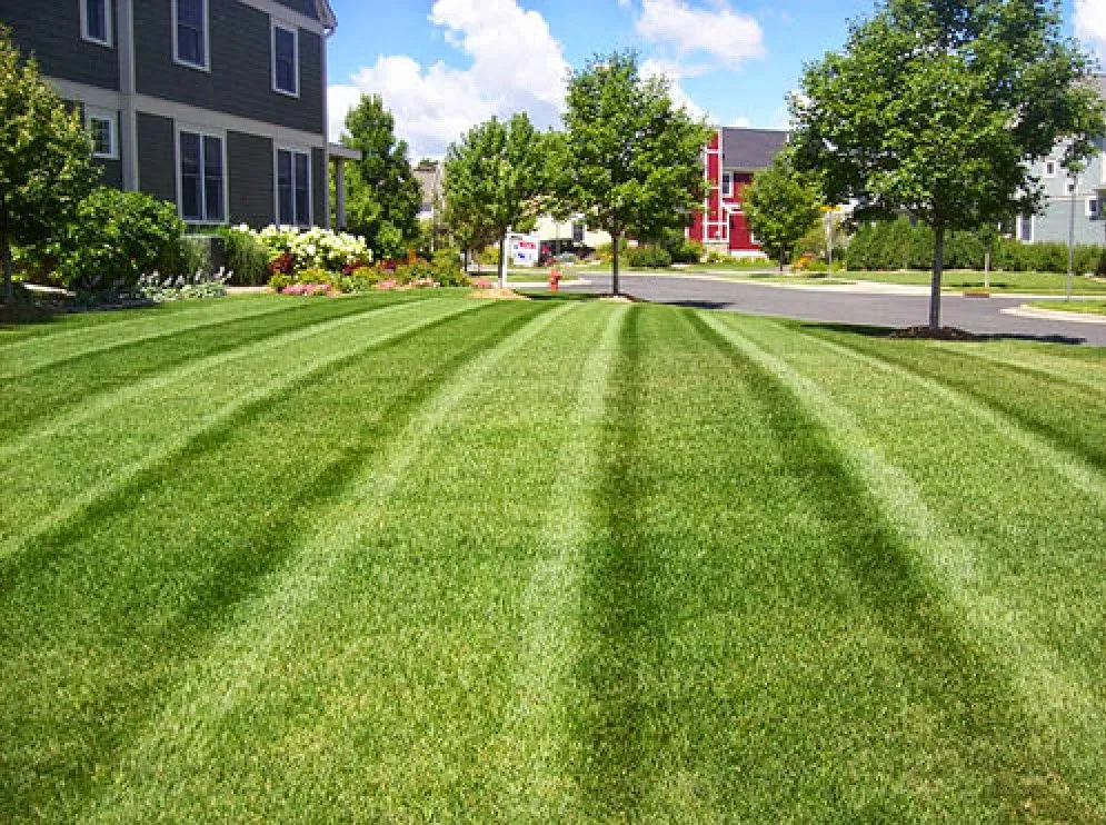 Horticultural DNA Inc